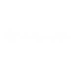 Startlaw Branco